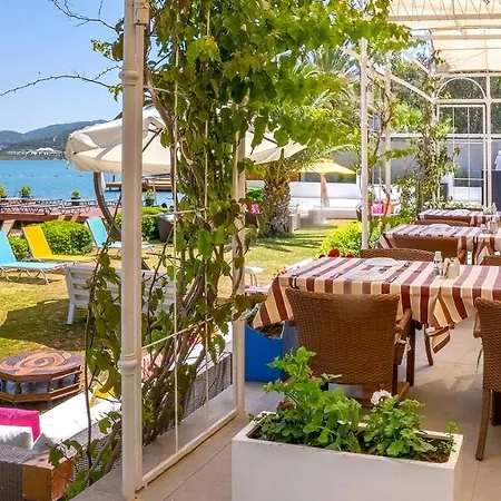 Toka Hotel&beach Club