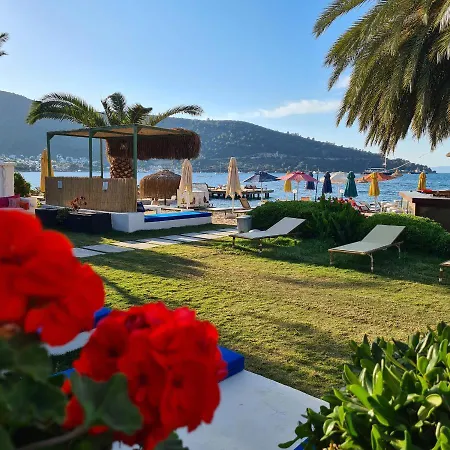 Hotel Toka Hotel&beach Club 3*