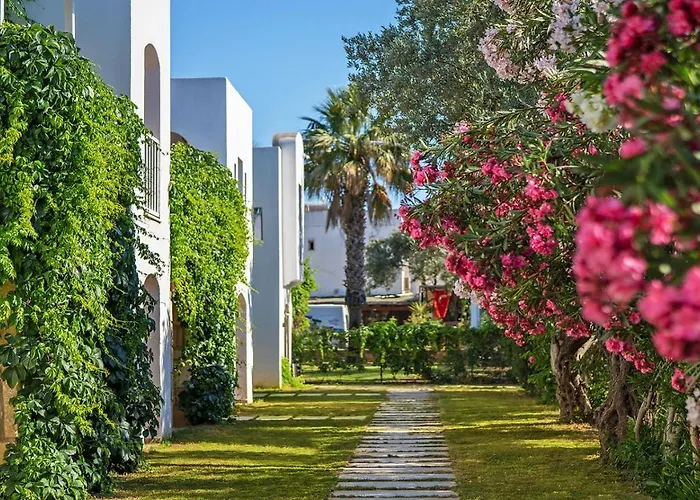 Toka & Club 3* Bodrum