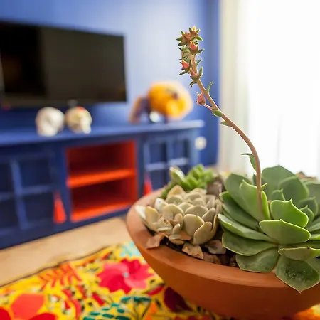 Toka & Club מלון