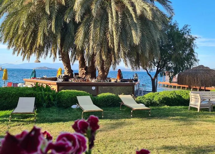 Szálloda Toka & Club Bodrum